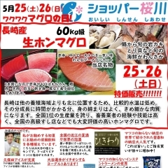５月２５日・２６日、長崎産ホンマグロの1本買い解体即売をショッパー桜川で行います。