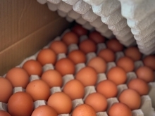 自家養鶏場・渡辺鶏園の朝採れ卵が毎日届くフェルエッグ