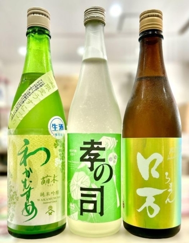 「～緑さす～【福島区・日本酒セラー HARETOKE】」
