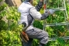新居浜市　草刈り・芝刈り・防草処理サービス「おかげさまで新規のお客様・リピートしてくださるお客様が増えてきています。 激安草刈り伐採剪定キレイ新居浜店」