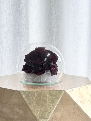 ラウンドドームL（石川県のお客様）「プロポーズの花束を残せます」