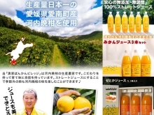 愛南町の柑橘名人の果汁100%ジュースギフト