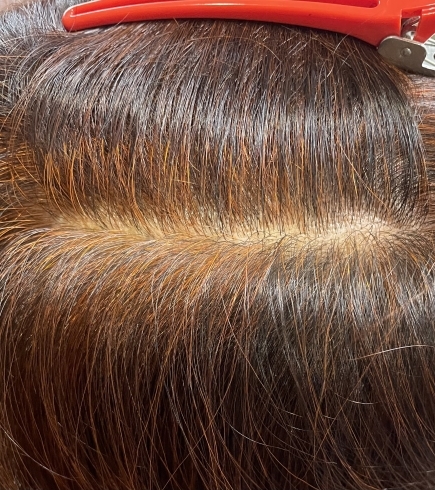 美らヘナ®︎単品はオレンジに染まりますが「貴女はいつまで化学物質たっぷりな白髪染めヘアカラーを続けますか？」