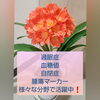 「過眠症、血糖値、自閉症、腫瘍マーカーがそれぞれ改善中！[福島県福島市の漢方薬局]」