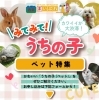 「【2024年】第6回目 記事公開★カワイイが大渋滞！みてみて！うちの子 ペット特集　【新居浜・西条】」