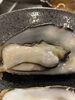 明石牡蠣「明石初の明石牡蠣!【炭火焼肉 海鮮浜焼き 一人焼肉 たにやん カウンター席 肉と酒 団体歓迎 宴会40名 一人焼肉 カウンター席 肉も海鮮も 個室は6人】」