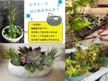 【6月・7月】花と緑の講座・体験のご案内