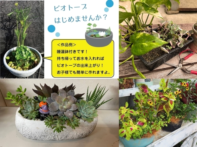 【6月・7月】花と緑の講座・体験「【6月・7月】花と緑の講座・体験のご案内」