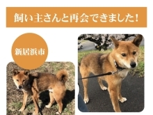 【無事再会！】新居浜市桜木町付近で迷子になった犬のゆうくん。飼い主さんと再会できました！