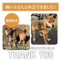 【無事再会！】新居浜市桜木町付近で迷子になった犬のゆうくん。飼い主さんと再会できました！