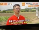 ☆カラフル野菜の小山農園、TBS系列『Nスタ』無事にオンエア☆