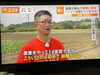 眩しくて細い目が更に細く…👓「☆カラフル野菜の小山農園、TBS系列『Nスタ』無事にオンエア☆」