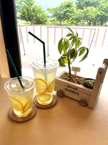 レモンジュース＆ソーダ「【季節のドリンク新味登場です🆕】」