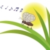 日本人には虫の「声」が聞こえますが、外国人には聞こえないって知ってました？ これも本当なのです…。 | Total Conditioning Kiitosのニュース | トリコカワグチ[川口市]