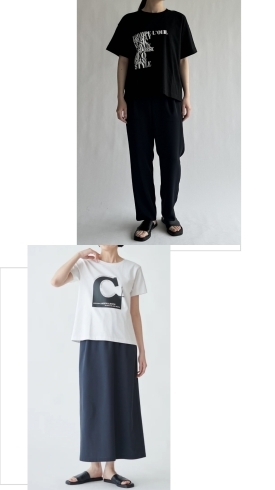 カラー展開はオフ白、グレー、ベージュ、ブラック「これからが役立つお洒落なTシャツが入荷❗」