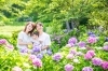 紫陽花撮影会、家族写真「6月バラ&紫陽花撮影会【島田市、牧之原市、静岡市】」