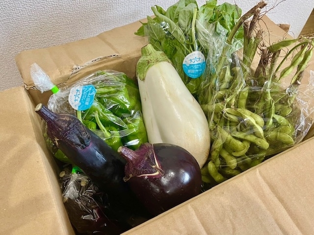 原田ファーム　ナス「夏野菜準備始まってます！！！」