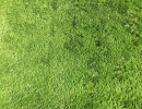 ふわっと優しい、まるで本物の芝生。クッション性の高い人工芝で叶えるくつろぎ空間