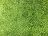 「ふわっと優しい、まるで本物の芝生。クッション性の高い人工芝で叶えるくつろぎ空間」
