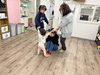 かごめかごめの状況！「5/29（水）昔いろいろ遊び🐢【札幌市北区児童デイサービスこぱんはうすさくら札幌太平教室】」