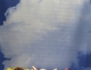 トイプードルのトリミング、パピヨンのこむぎ君＆ばんびちゃん＆らむちゃん、トイプードルの子犬、ダリア。千葉県鎌ケ谷市・船橋市・市川市・柏市のブリーダー兼トリミングサロン
