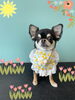 「Dog salon mofu mofu　余市町」