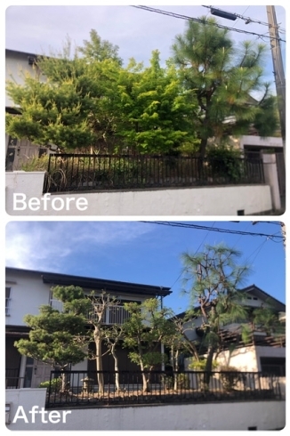 Before/After「川西市大和西でお庭のお手入れ(剪定・除草)をしました！」