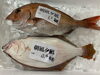 「本日鮮魚入荷致しました。[岩牡蠣は７月から販売致します。]」
