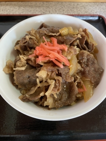 千屋牛丼「 千屋牛丼、800円ですよ〜」