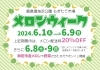 「もぎたて市場 メロンウィーク開催！」