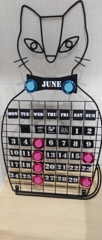 33shokudo6月カレンダー「6月の営業日」