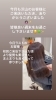 「５月もお疲れ様でした☺️」