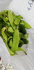 「定休日♪農家さんより野菜を戴く(#^.^#)」