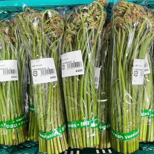 「旬の山菜『高原わらび』が入荷します！道の駅木曽福島」