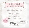「プライベートピラティスレッスンのお知らせです✨【南区澄川にあるキッズルームや託児も可能な歯科医院　桜田歯科医院】」
