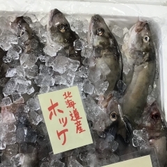魚魚市場鮮魚コーナーおすすめは「北海道産ホッケ」です♪