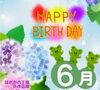 🎁2024年6月誕生日限定クーポン🎁「✨はだかの王様小作店限定✨🎁6月のお誕生日クーポン🎁✨　　」