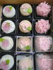 「紫陽花３種」