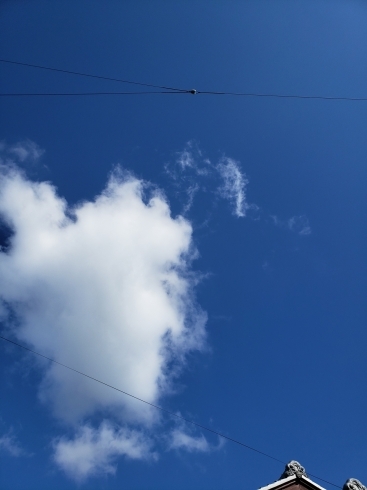 朝の空！お客様の身体も晴れますように😊「☆カイロプラクティックを初めて受けた感想」