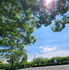 休憩中の景色「全国的に見ても日照時間が長い宮崎県☀」