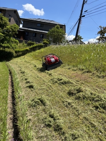 「四日市にて自治会緑地帯傾斜地の草刈り」