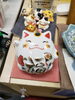 お客様に頂いた福猫🐱貯金箱「☆健康マニア」