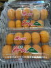 宮崎産温室みかん 550円「みかん好きにはたまらない！」