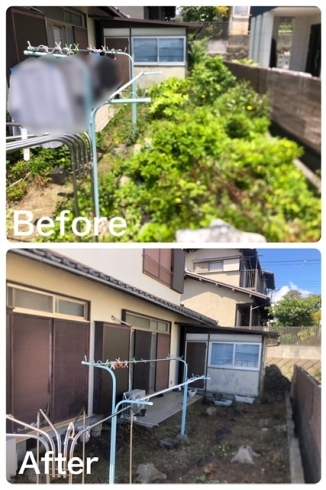 Before / After「豊能町東ときわ台で伐採と除草をしました」