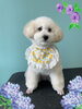 「Dog salon mofu mofu　余市町」