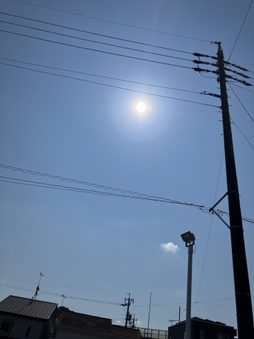 太陽が眩しい☀️「太陽のパネルangel☀️     ［太陽光/発電/メガソーラー/静岡］」