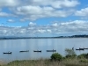 「公園のそばで見られます！しじみ漁！」