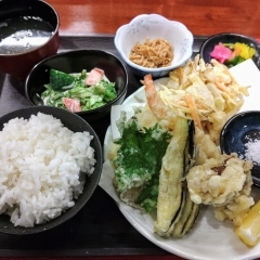 今日のひげそり鯛最高‼️【鳥夜ゆうこ、京都市南区、居酒屋、ランチ、地鶏、お刺身 】