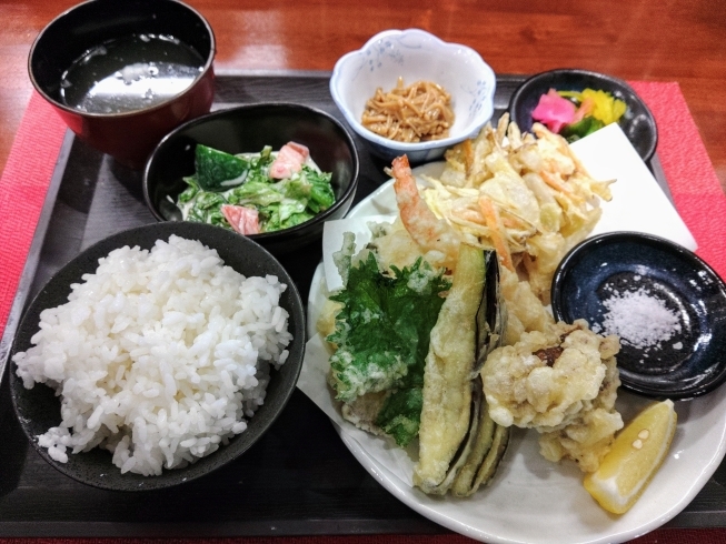 天婦羅盛り合わせです。「今日のひげそり鯛最高‼️【鳥夜ゆうこ、京都市南区、居酒屋、ランチ、地鶏、お刺身 】」