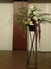 広がるものと垂れ下がるものでeleganceを「エレガンス！」